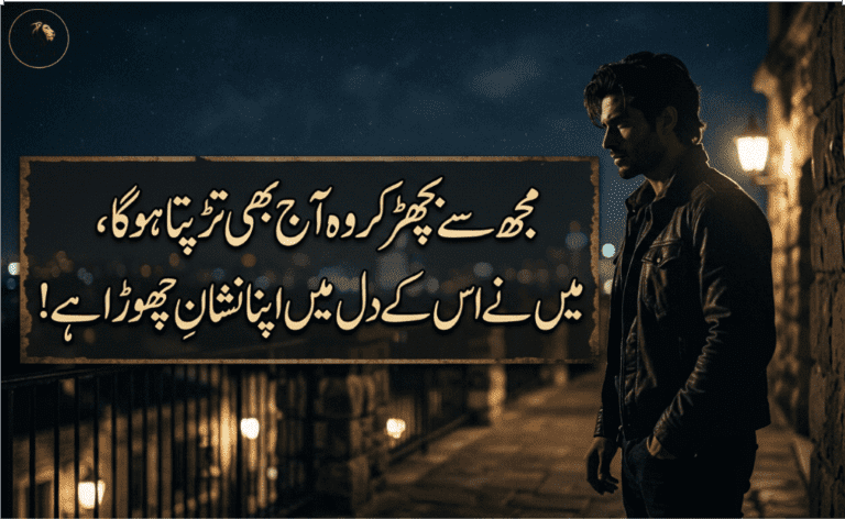 Attitude Shayari in Urdu